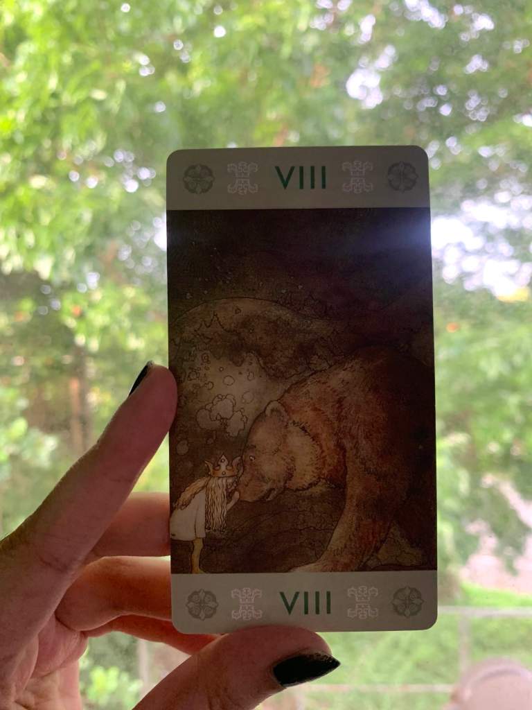 poor little bear by john bauer as strength tarot card